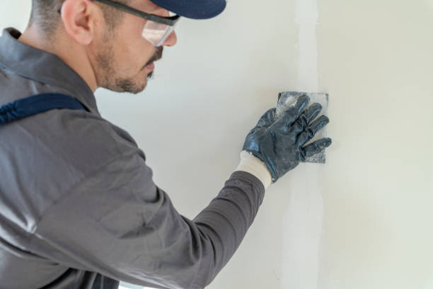 Best Real Estate Mold Inspection  in Round Lake Beach, IL
